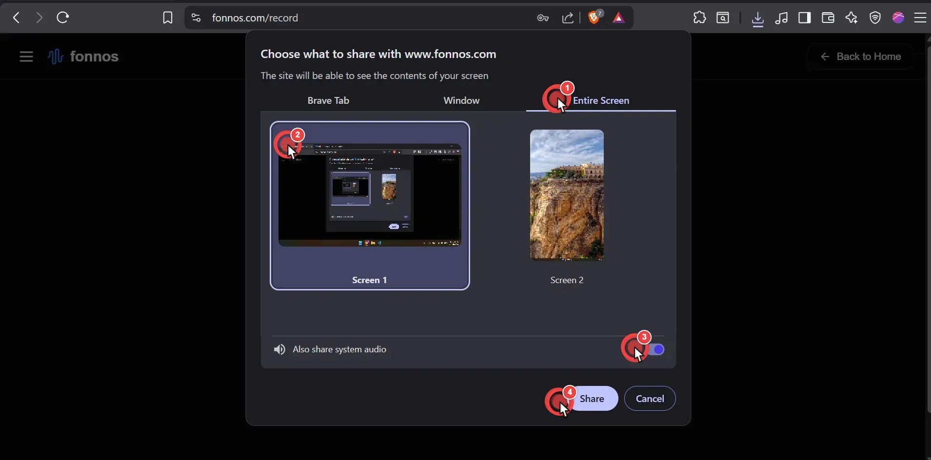 Share Entire Screen and System Audio
